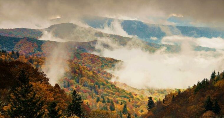 Descubre la belleza natural del Parque Nacional de las Grandes Montañas Humeantes en Estados Unidos