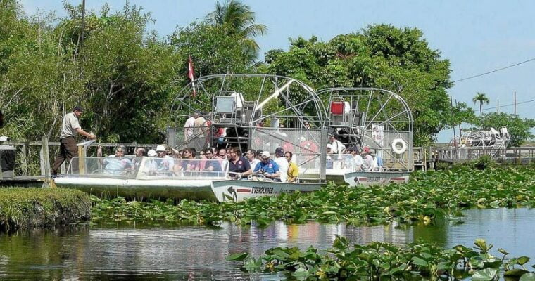 Descubre la belleza natural del Parque Nacional de los Everglades en Estados Unidos