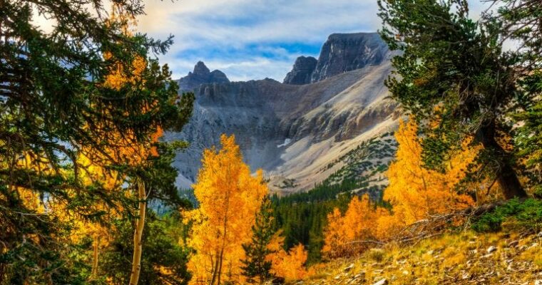 Descubre la belleza natural del Parque Nacional de los Glaciares en Estados Unidos