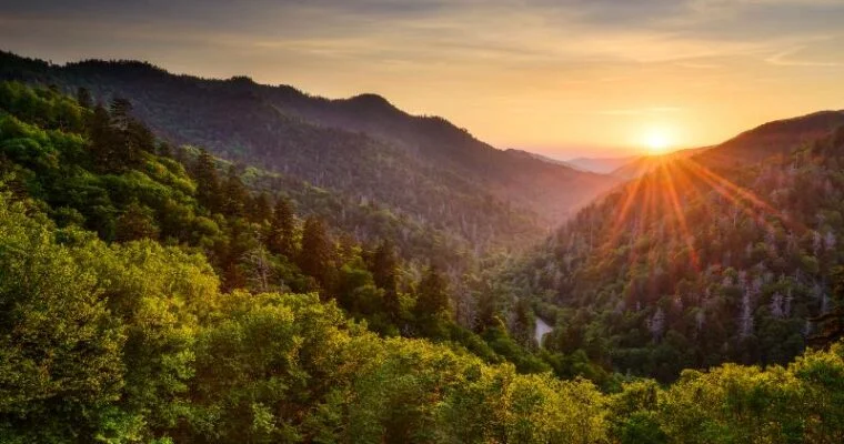 Descubre la belleza natural del Parque Nacional Great Smoky en las Montañas de Carolina del Norte y Tennessee, ¡en Estados Unidos!